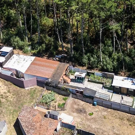 ラグジュアリーテント Burbujasbalbuena, Interpretacion De La Via Lactea *