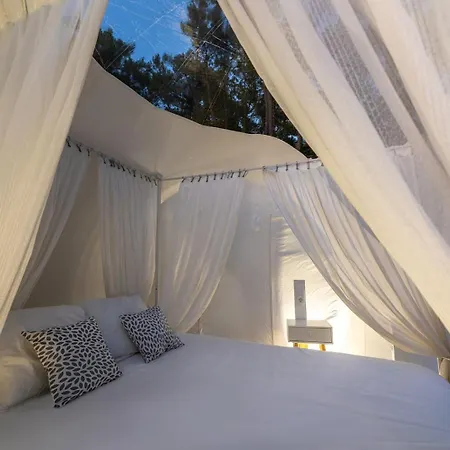 ラグジュアリーテント Burbujasbalbuena, Interpretacion De La Via Lactea *